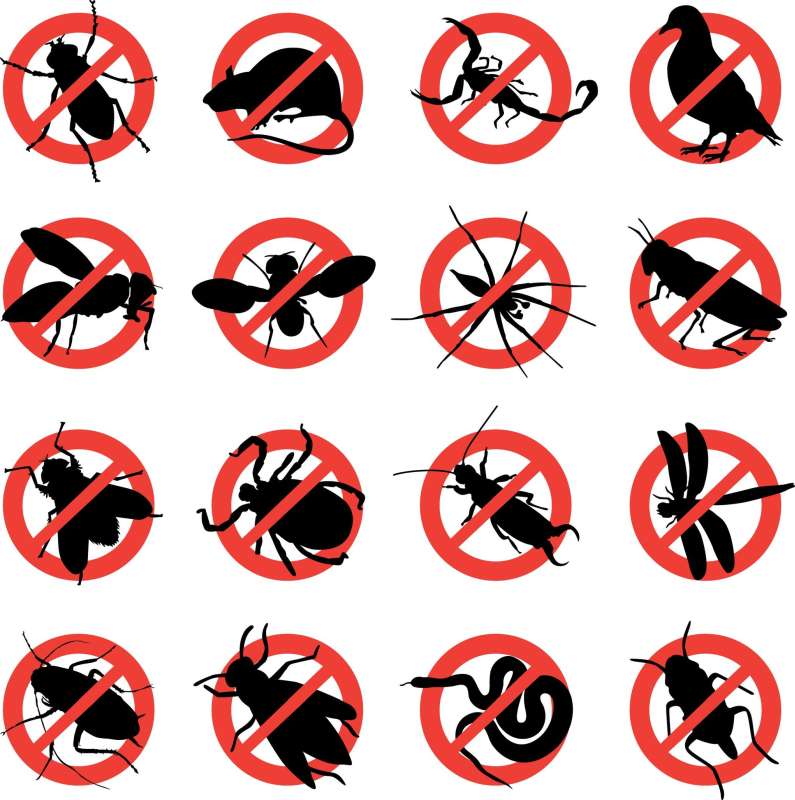 Aircraft Pest Control Aircraft Pest Control